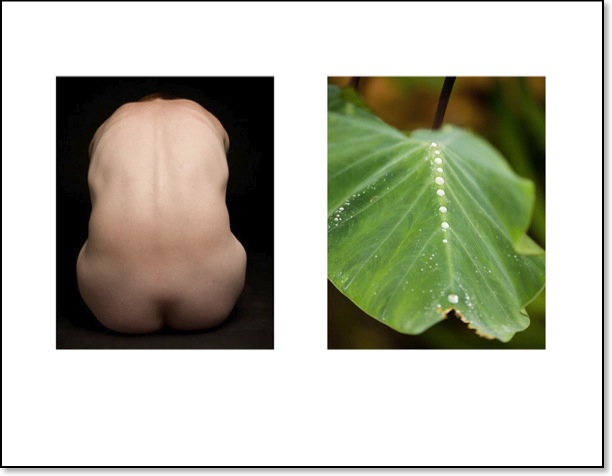 diptych00