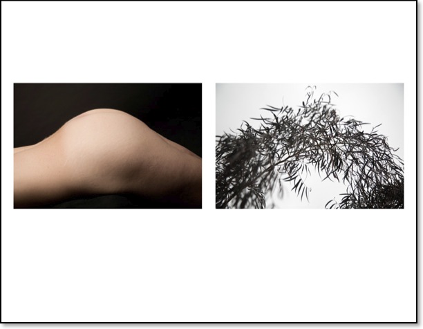 diptych01