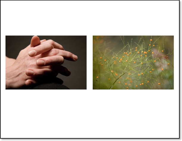 diptych08